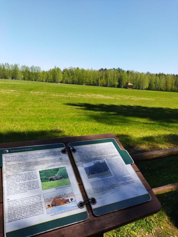 Vila Przy Lesie Białowieża Exteriér fotografie