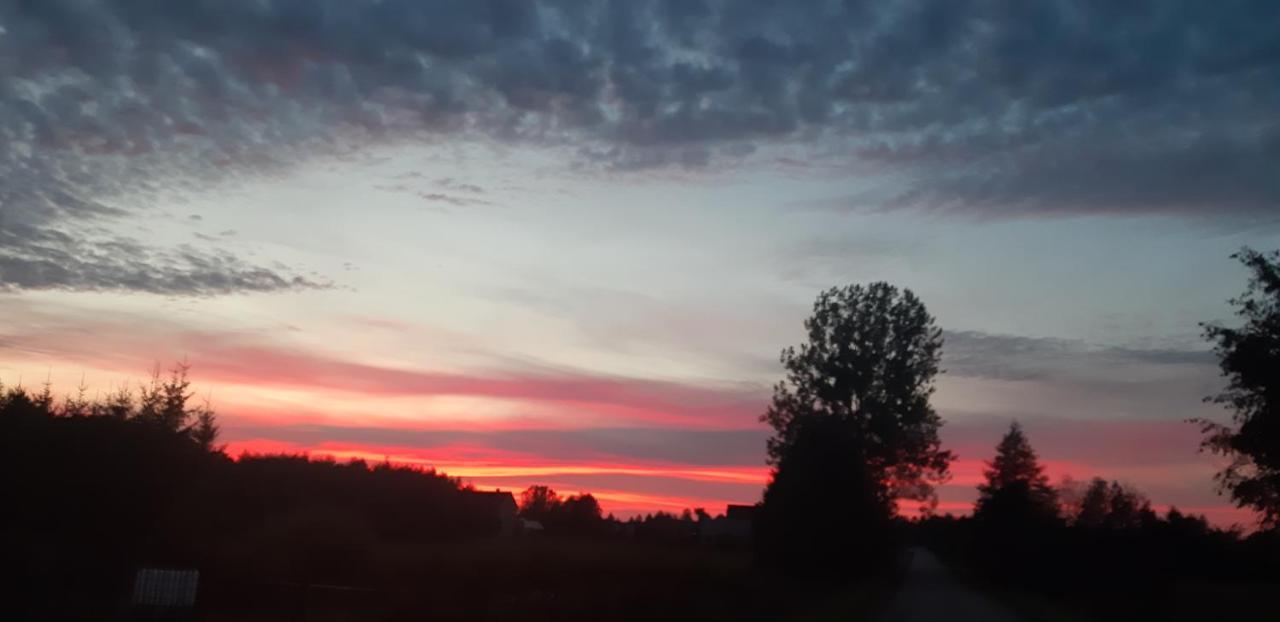Vila Przy Lesie Białowieża Exteriér fotografie